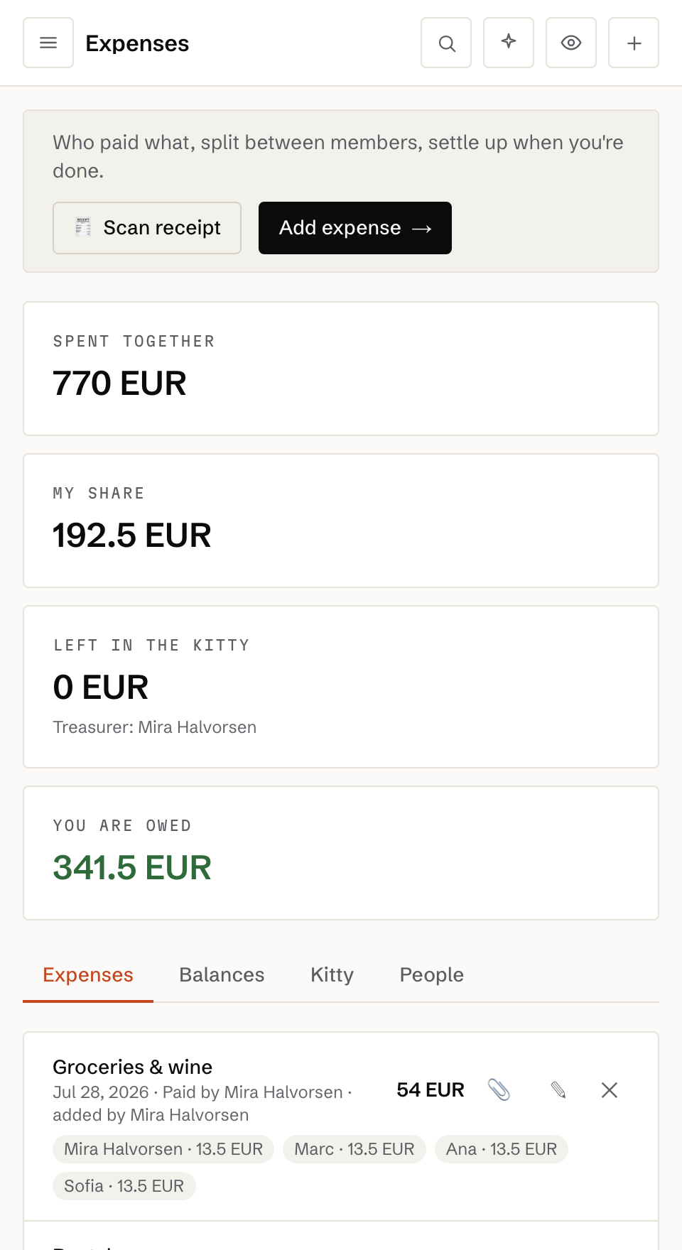Shared expenses with balances